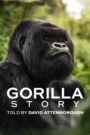 David Attenborough: Opowieść o gorylach