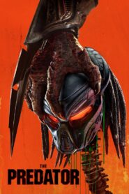Predator