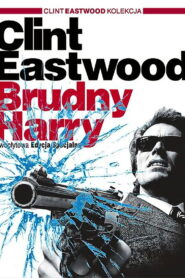 Brudny Harry