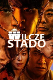 Wilcze Stado