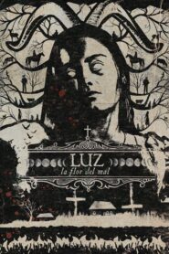 Luz