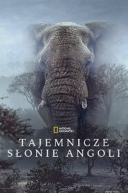 Ghost Elephants