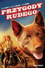 Przygody Rudego