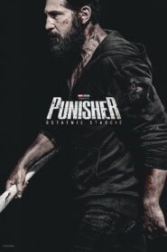 Punisher: Ostatnie starcie