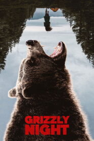 Noc Grizzly
