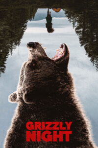 Noc Grizzly