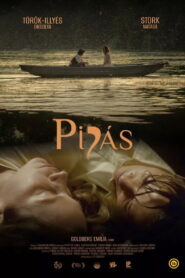 Pipás