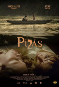 Pipás