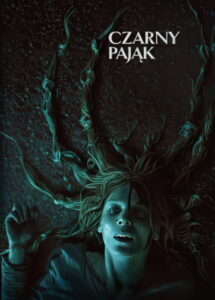 Czarny pająk