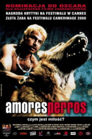 Amores perros