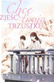 Chcę zjeść twoją trzustkę