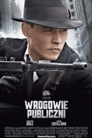 Wrogowie Publiczni