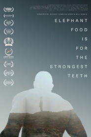 Elephant Food Is for the Strongest Teeth