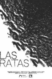 The Rats
