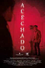 Acechado