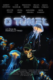 O Túnel