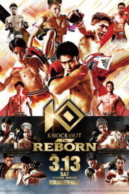 KNOCK OUT The REBORN