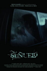 Señuelo