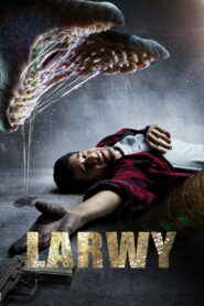 Larwy