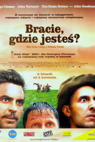 Bracie, gdzie jesteś?