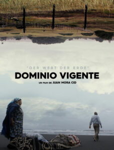 Dominio Vigente