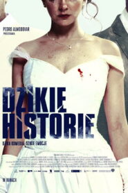 Dzikie historie