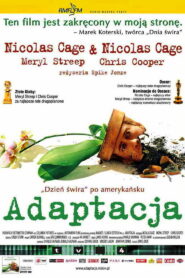 Adaptacja