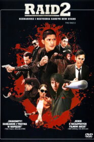 Raid 2: Infiltracja