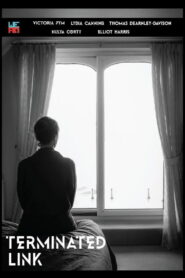 Terminated Link