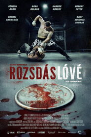 Rozsdás Lóvé