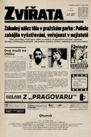Zvířata